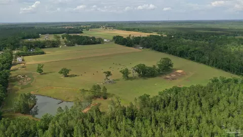 lot4 Hall Rd, Jay, FL 32565 photo 4