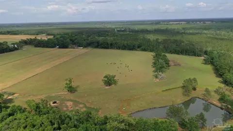 lot4 Hall Rd, Jay, FL 32565 photo 2