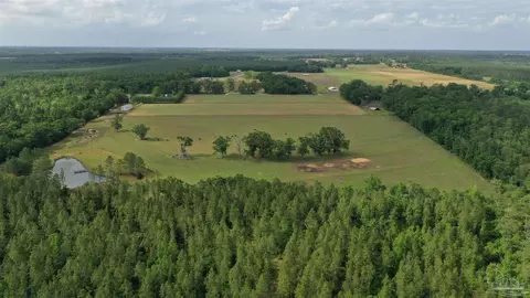 lot4 Hall Rd, Jay, FL 32565 photo 3
