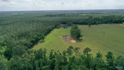 lot4 Hall Rd, Jay, FL 32565