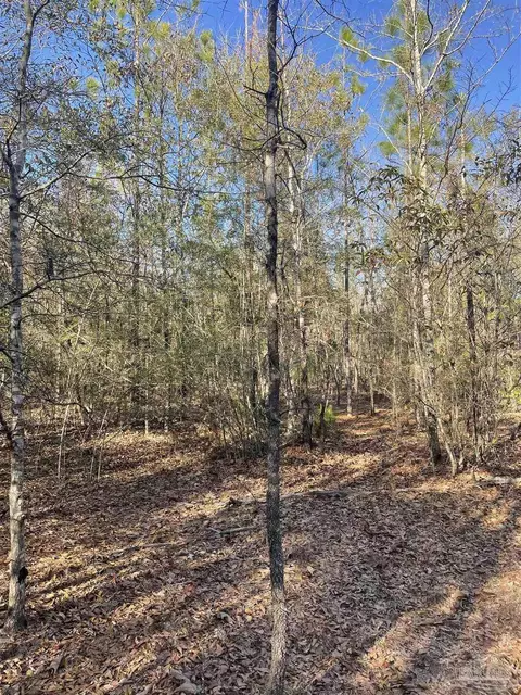 0000 Walling Rd, Milton, FL 32570 photo 1