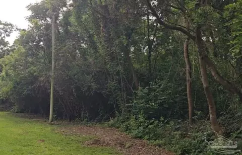 70 Juniper St, Mcdavid, FL 32568 photo 7