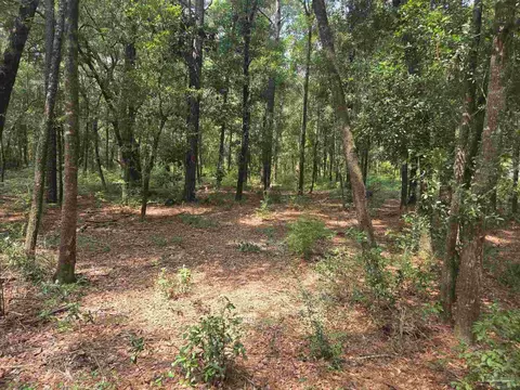 0000 Mcinnis St, Milton, FL 32583