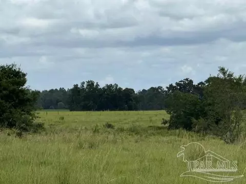 5880 S Hwy 99, Mcdavid, FL 32568