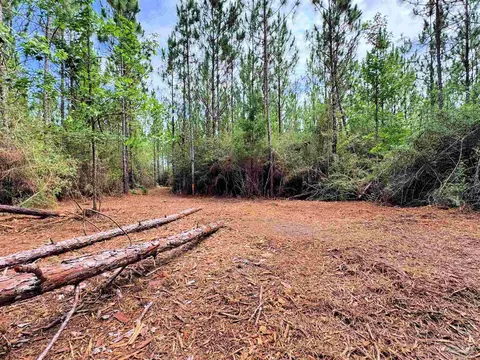 Parcel C Killian Dr, Jay, FL 32565 photo 16