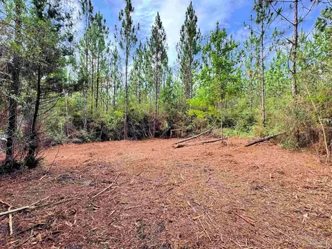 Parcel C Killian Dr, Jay, FL 32565 photo 15