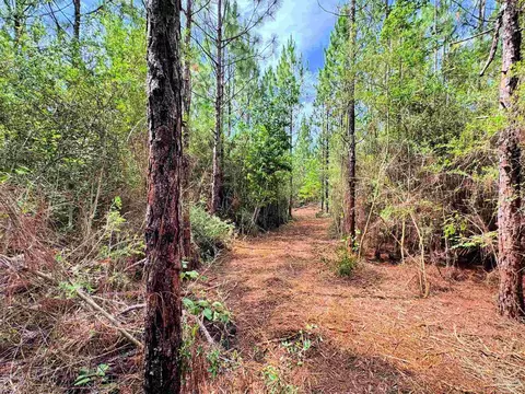 Parcel C Killian Dr, Jay, FL 32565 photo 13