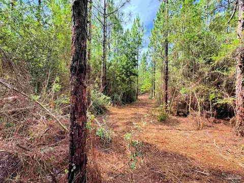 Parcel C Killian Dr, Jay, FL 32565 photo 14