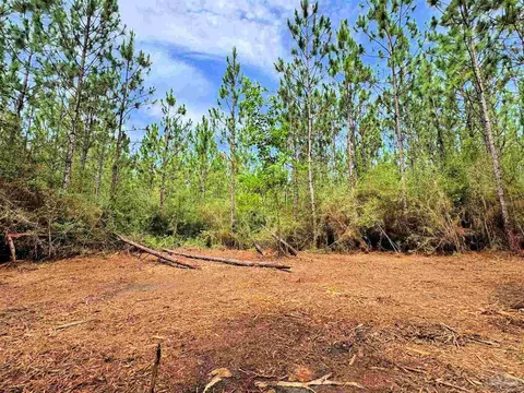 Parcel C Killian Dr, Jay, FL 32565 photo 17