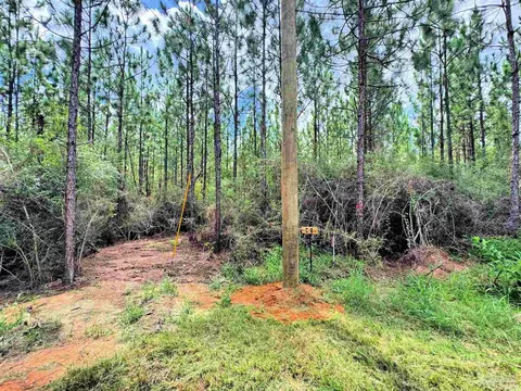 Parcel C Killian Dr, Jay, FL 32565 photo 10