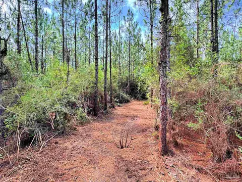 Parcel C Killian Dr, Jay, FL 32565 photo 12
