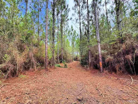 Parcel C Killian Dr, Jay, FL 32565 photo 18