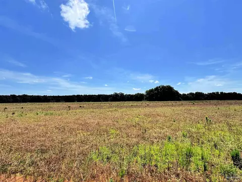 lot2 Three Hollow Rd, Jay, FL 32565 photo 13
