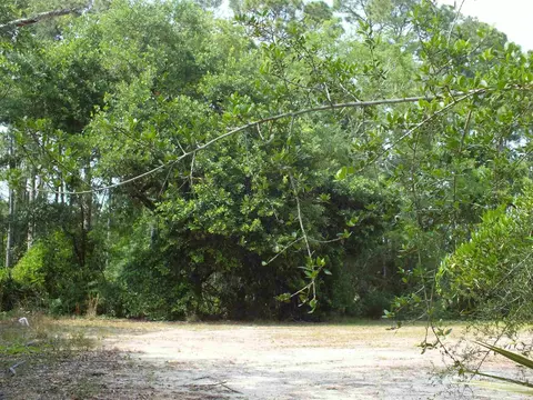 000 Eventide Rd, Milton, FL 32583 photo 6