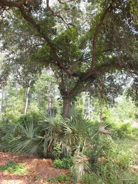 000 Eventide Rd, Milton, FL 32583 photo 4