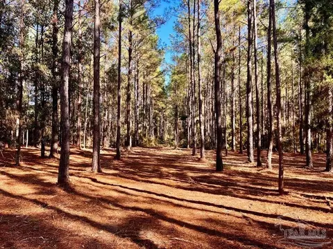 Parcel 4-rs Hwy 182, Jay, FL 32565 photo 2