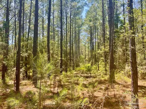 Parcel 4-rs Hwy 182, Jay, FL 32565 photo 17