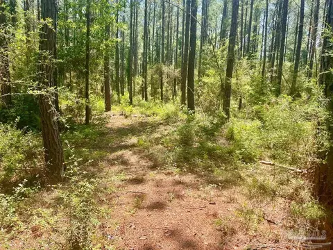 Parcel 4-rs Hwy 182, Jay, FL 32565 photo 16