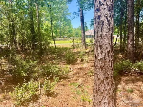 Parcel 4-rs Hwy 182, Jay, FL 32565 photo 9