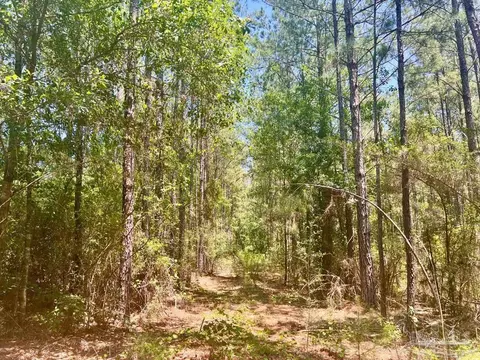 Parcel 4-rs Hwy 182, Jay, FL 32565 photo 14