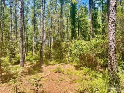 Parcel 4-rs Hwy 182, Jay, FL 32565 photo 19