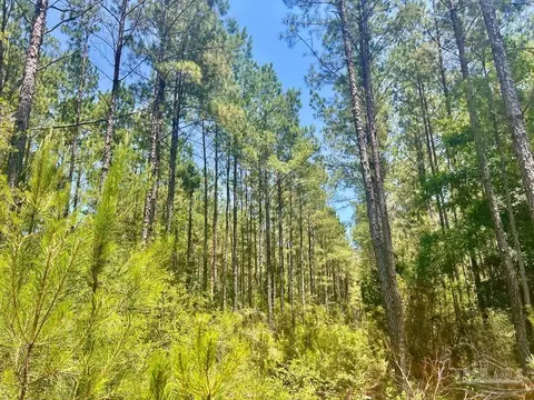 Parcel 4-rs Hwy 182, Jay, FL 32565 photo 13