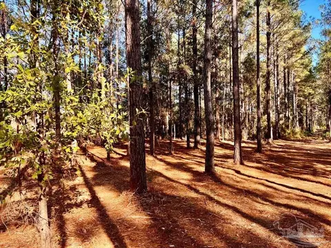 Parcel 4-rs Hwy 182, Jay, FL 32565 photo 7