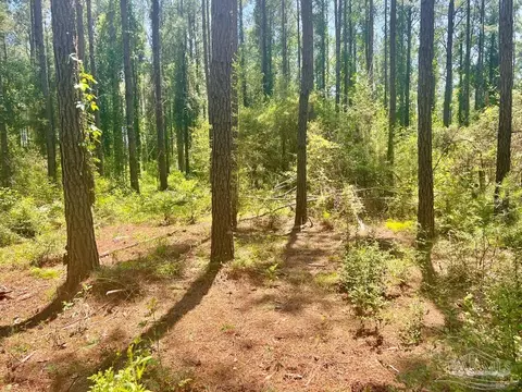 Parcel 4-rs Hwy 182, Jay, FL 32565 photo 10