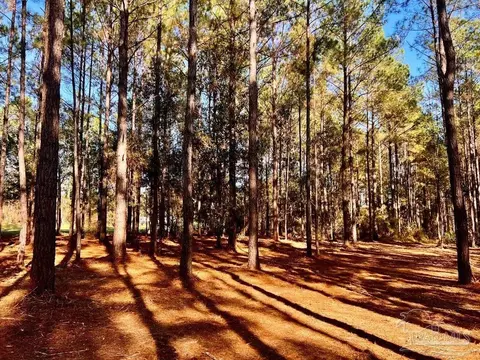 Parcel 4-rs Hwy 182, Jay, FL 32565 photo 3