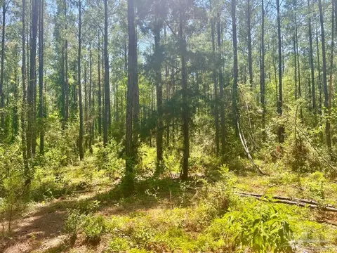Parcel 4-rs Hwy 182, Jay, FL 32565 photo 15