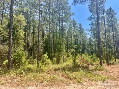 Parcel 4-rs Hwy 182, Jay, FL 32565 photo 11