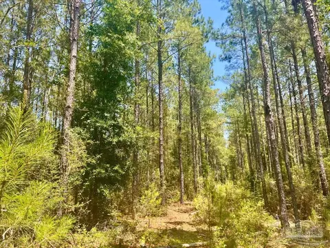 Parcel 4-rs Hwy 182, Jay, FL 32565 photo 12