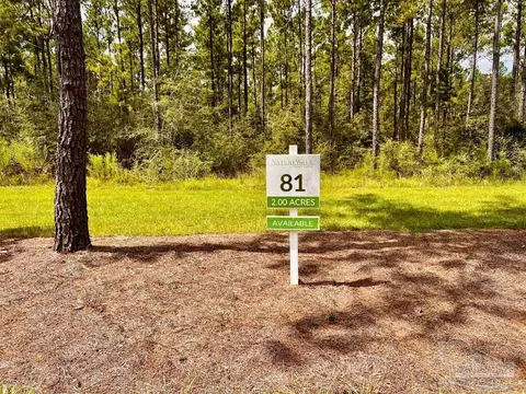 lot81 Naturewalk Dr, Pace, FL 32571 photo 5