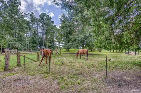 8430 Tidwell Rd, Pace, FL 32571 photo 11