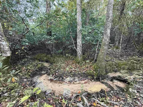 lot8 SW Waterfall St, Pace, FL 32571 photo 19