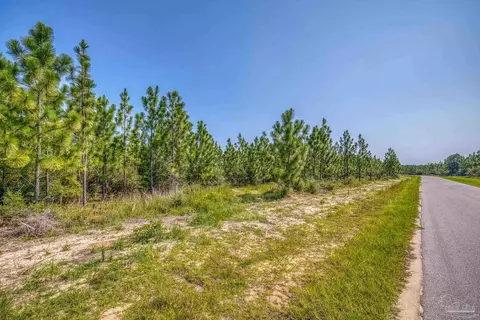 lot8 SW Waterfall St, Pace, FL 32571 photo 12