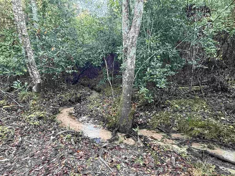 lot8 SW Waterfall St, Pace, FL 32571 photo 20