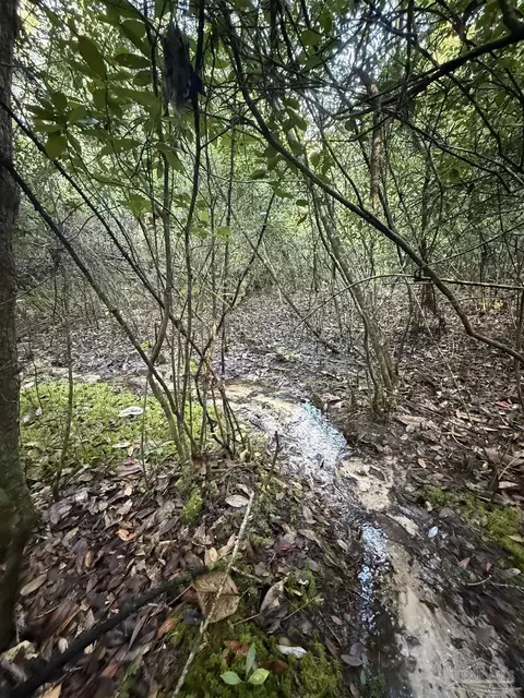 lot8 SW Waterfall St, Pace, FL 32571 photo 21