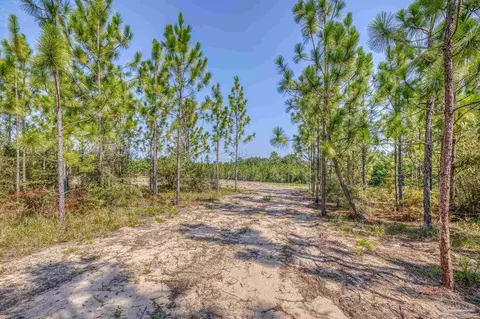 lot8 SW Waterfall St, Pace, FL 32571 photo 11