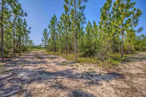 lot8 SW Waterfall St, Pace, FL 32571 photo 10