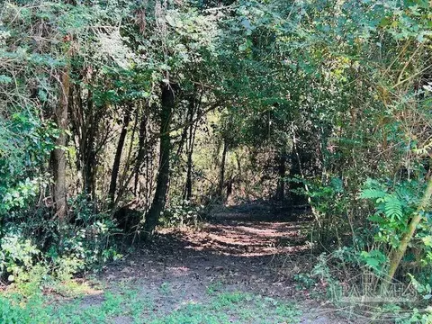 3200 Deloach Ln, Milton, FL 32570 photo 18