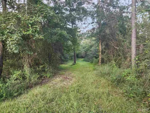2264 Lewis Rd, Milton, FL 32570 photo 14