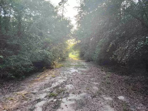 2264 Lewis Rd, Milton, FL 32570 photo 16