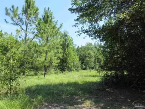Chumuckla Hwy, Pace, FL 32571 photo 3