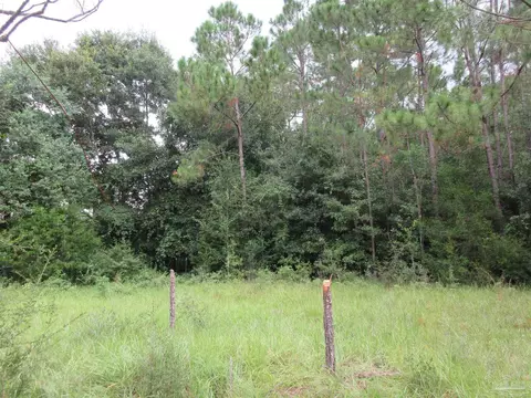 Chumuckla Hwy, Pace, FL 32571 photo 16