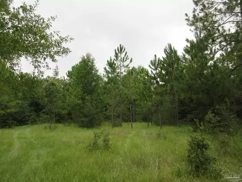 Chumuckla Hwy, Pace, FL 32571 photo 22