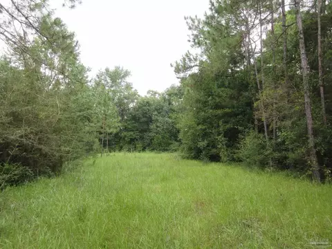 Chumuckla Hwy, Pace, FL 32571 photo 24