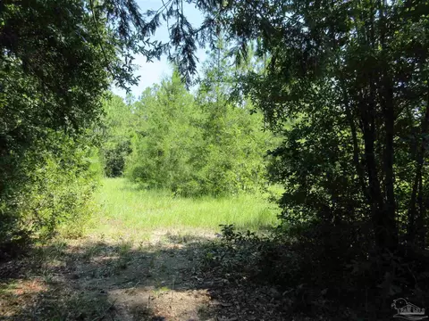 Chumuckla Hwy, Pace, FL 32571 photo 6