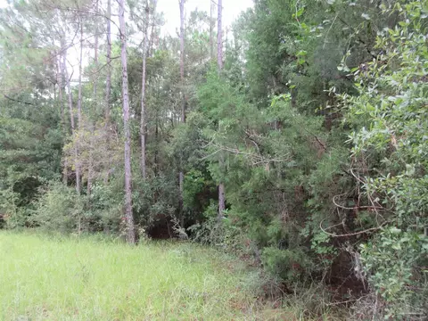Chumuckla Hwy, Pace, FL 32571 photo 25