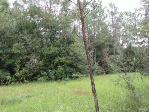 Chumuckla Hwy, Pace, FL 32571 photo 18